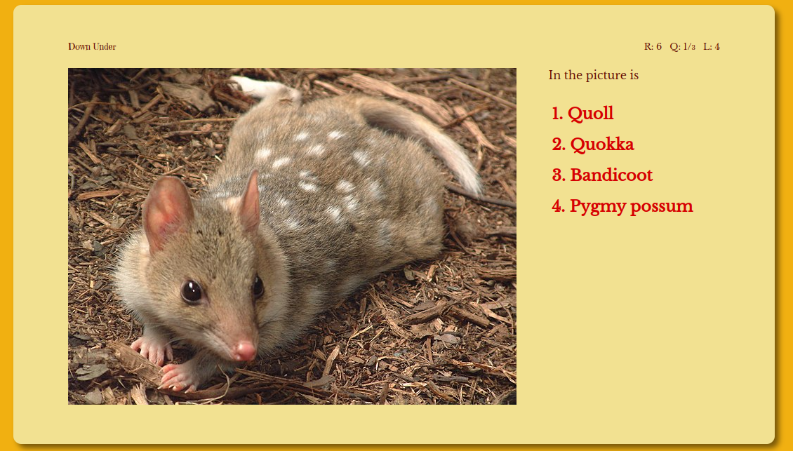 Image-based question Image-based question